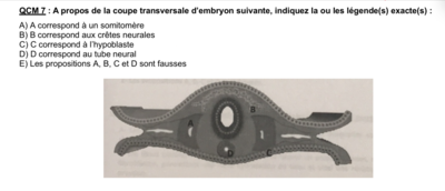 Ouvrir le dossier Embryo.png