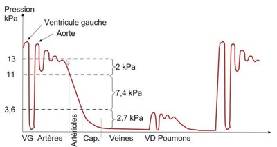 pressions réseau CV.jpg