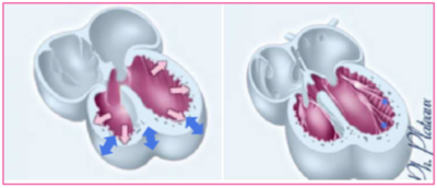 Capture d’écran 2020-11-21 à 20.45.08.png