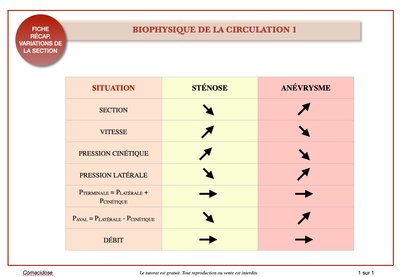 variations sections.jpg