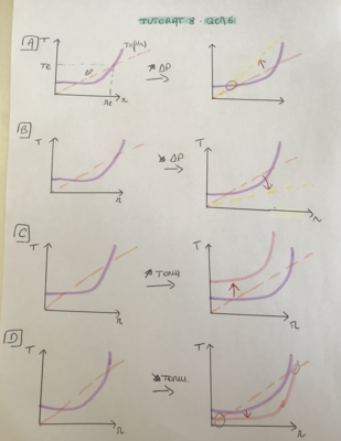 vaisseau musculo-élastique.png