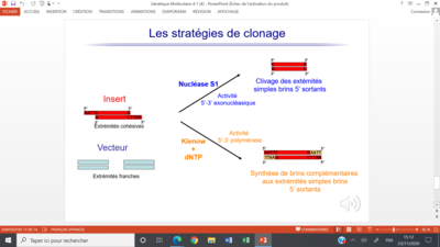 Capture d’écran (57).png