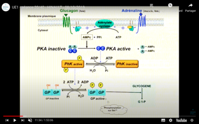 Capture d’écran 2020-11-26 à 11.23.39.png