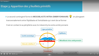 Capture d’écran (60).png
