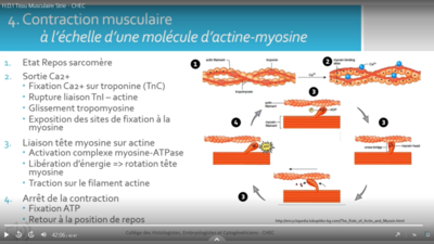 Capture d’écran (61).png
