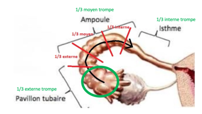 Capture d’écran 2020-11-28 à 09.25.22.png