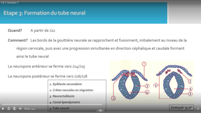 Capture d’écran (74).png