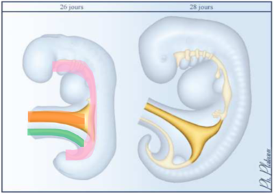 Capture d’écran 2020-11-29 à 00.03.03.png
