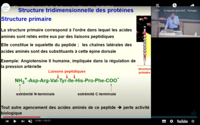 Capture d’écran 2020-11-29 à 11.47.53.png
