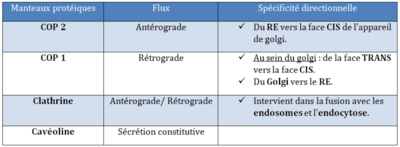 Tableau récap manteaux vésiculaires.PNG