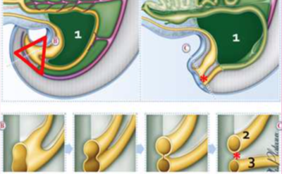 Capture d’écran 2020-11-30 à 10.01.41.png