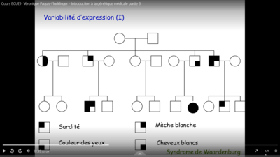 Capture d’écran (98).png