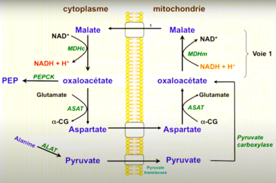 Capture d’écran 2020-11-30 à 22.12.21.png