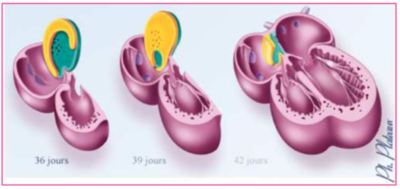 Capture d’écran 2020-12-01 à 18.06.39.png