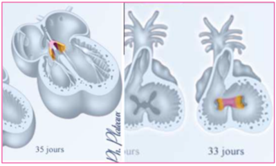 Capture d’écran 2020-12-02 à 08.38.46.png