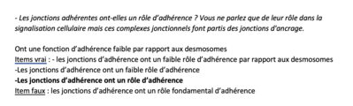 Capture d’écran 2020-12-02 à 17.02.56.png