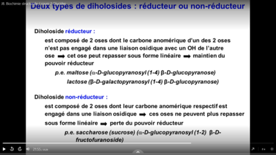 Capture d’écran (110).png