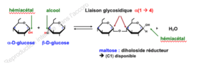 Capture d’écran 2020-12-02 à 21.52.50.png