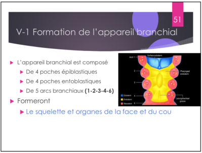 Capture d’écran 2020-12-03 à 17.32.29.png
