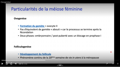 Capture d’écran (164).png