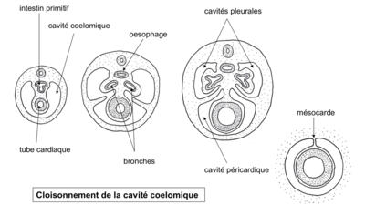 Capture d’écran 2020-12-05 à 15.19.38.png