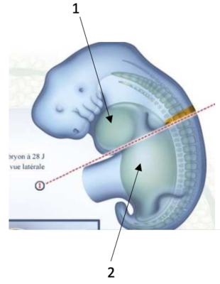 Capture d’écran 2020-12-05 à 16.00.44.png