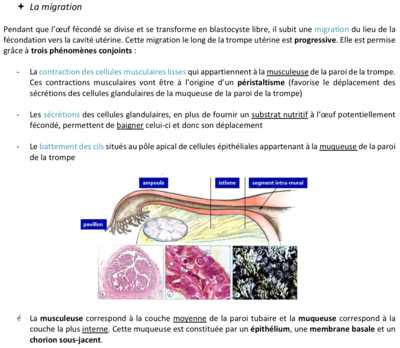 Capture d’écran 2020-12-05 à 16.07.06.png