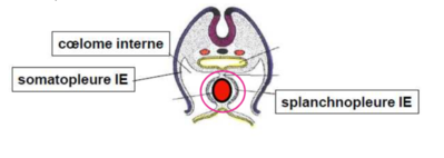 Capture d’écran 2020-12-05 à 17.45.53.png
