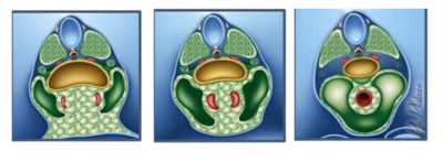 Capture d’écran 2020-12-05 à 17.46.04.png