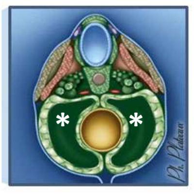 Capture d’écran 2020-12-05 à 15.26.51.png