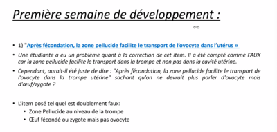 Capture d’écran 2020-11-19 à 18.04.59.png