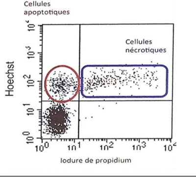Capture d’écran 2019-11-11 à 22.23.06.png