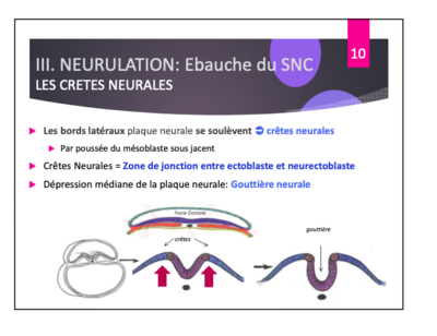 Capture d’écran 2020-12-06 à 17.26.19.png