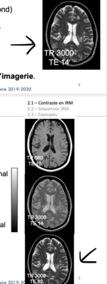 Capture d’écran 2020-12-07 à 13.49.21.png