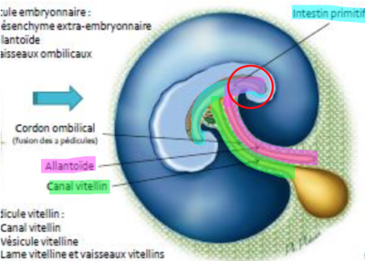 Capture d’écran 2020-12-07 à 18.00.55.png