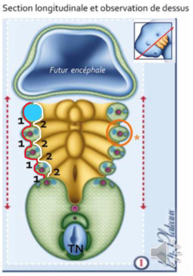 Capture d’écran 2020-12-07 à 19.01.45.png