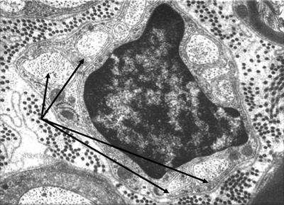 Image 8 01-01-12.png