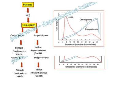 Capture d’écran 2020-12-10 à 11.22.51.png