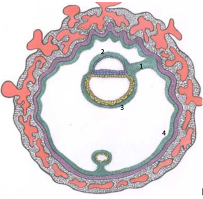 Capture d’écran 2020-12-11 à 22.55.21.png