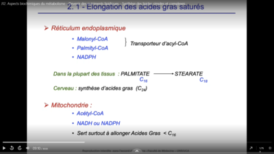Capture d’écran (213).png