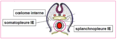 Capture d’écran 2020-10-22 à 09.50.47.png