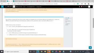 Capture d’écran (235).png