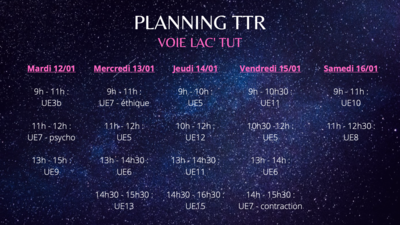 Planning TTR S2 semaine 2.png
