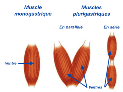Capture d’écran 2021-01-03 à 21.56.43.png