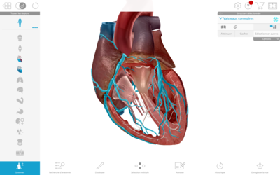 Capture d’écran 2021-01-07 à 11.25.51.png