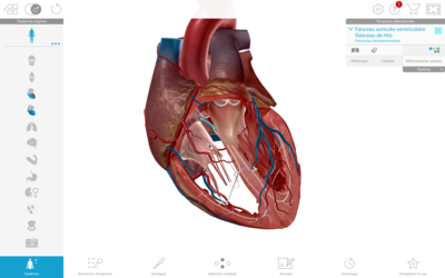 Capture d’écran 2021-01-07 à 11.27.28.png