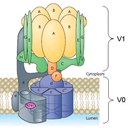 Capture d’écran 2011-12-07 à 17.02.20.png