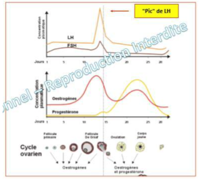 Capture d’écran 2021-01-09 à 15.07.59.png