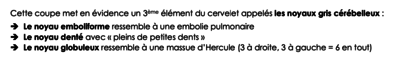 Capture d’écran 2021-01-12 à 14.32.46.png