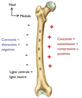 Capture d’écran 2021-01-14 à 16.47.46.png